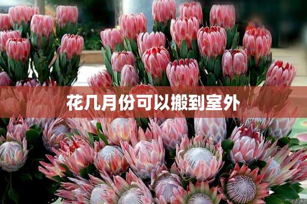 花几月份可以搬到室外