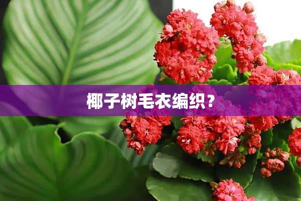 椰子树毛衣编织？