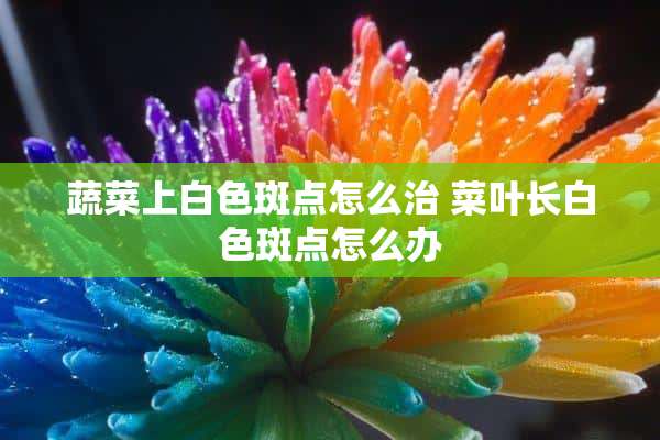 蔬菜上白色斑点怎么治 菜叶长白色斑点怎么办