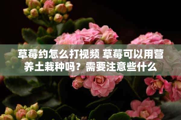 草莓约怎么打视频 草莓可以用营养土栽种吗？需要注意些什么