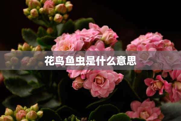 花鸟鱼虫是什么意思