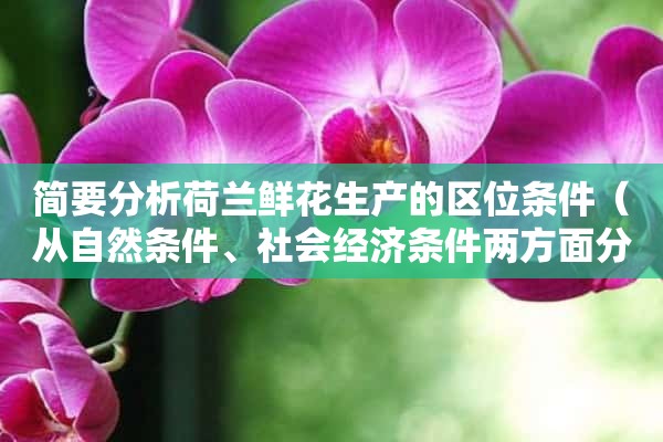 简要分析荷兰鲜花生产的区位条件（从自然条件、社会经济条件两方面分析）