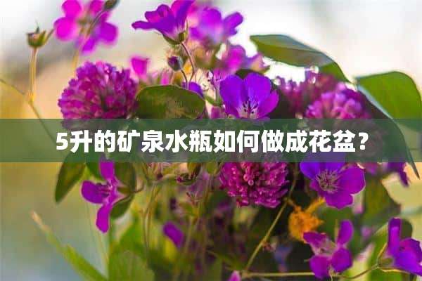 5升的矿泉水瓶如何做成花盆？