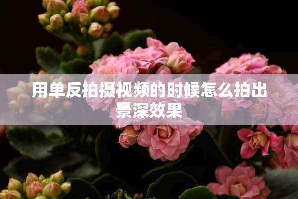 用单反拍摄视频的时候怎么拍出景深效果