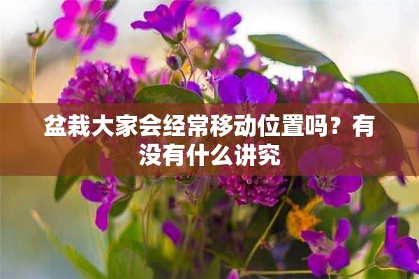 盆栽大家会经常移动位置吗？有没有什么讲究