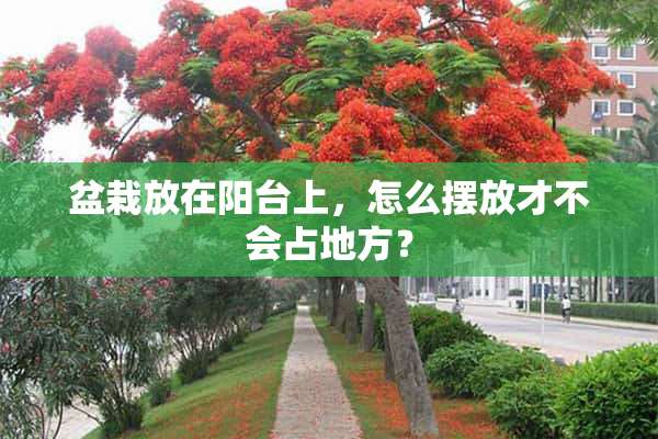 盆栽放在阳台上，怎么摆放才不会占地方？