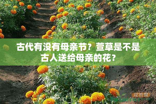 古代有没有母亲节？萱草是不是古人送给母亲的花？