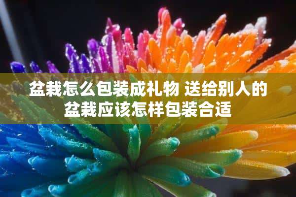 盆栽怎么包装成礼物 送给别人的盆栽应该怎样包装合适