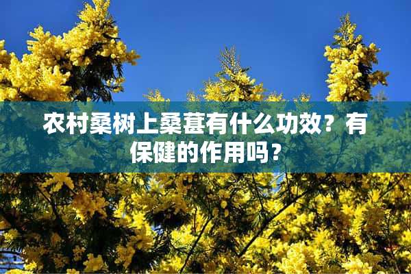 农村桑树上桑葚有什么功效？有保健的作用吗？