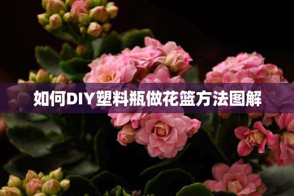 如何DIY塑料瓶做花篮方法图解