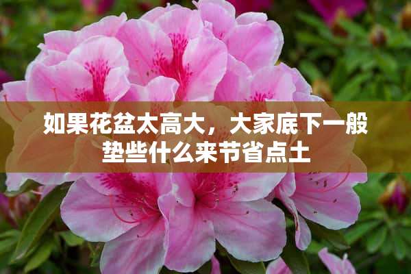 如果花盆太高大，大家底下一般垫些什么来节省点土