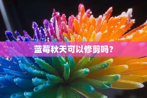 蓝莓秋天可以修剪吗？