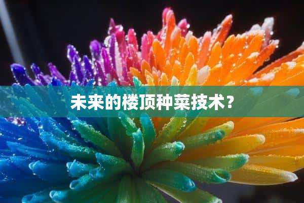 未来的楼顶种菜技术？