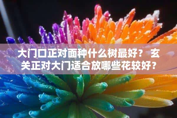 大门口正对面种什么树最好？ 玄关正对大门适合放哪些花较好？