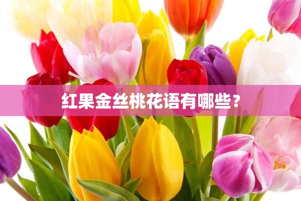 红果金丝桃花语有哪些？