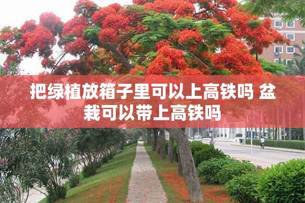 把绿植放箱子里可以上高铁吗 盆栽可以带上高铁吗