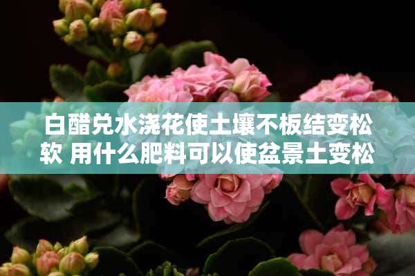 白醋兑水浇花使土壤不板结变松软 用什么肥料可以使盆景土变松软不在板硬