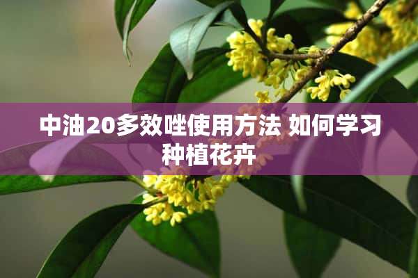 中油20多效唑使用方法 如何学习种植花卉