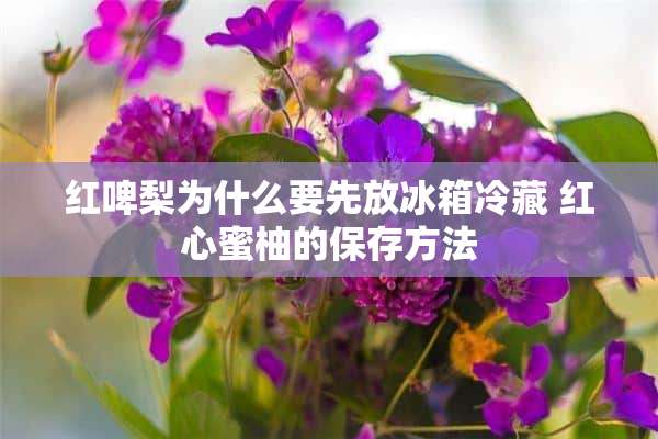 红啤梨为什么要先放冰箱冷藏 红心蜜柚的保存方法