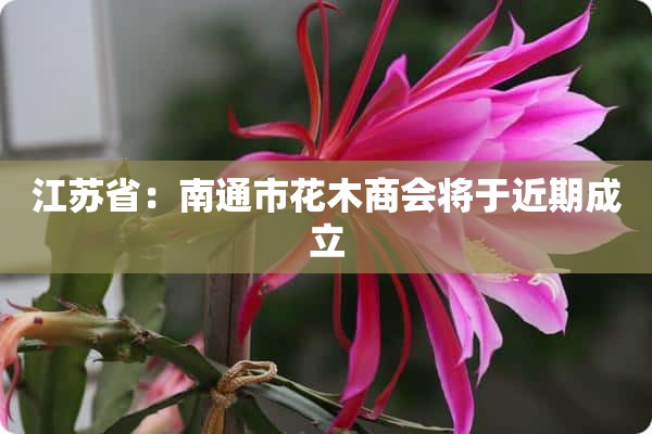 江苏省：南通市花木商会将于近期成立