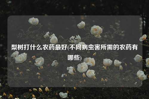 梨树打什么农药最好(不同病虫害所需的农药有哪些) 种植业