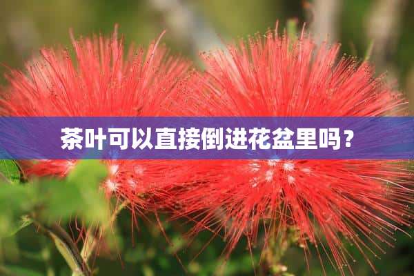 茶叶可以直接倒进花盆里吗？