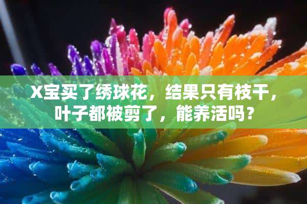 X宝买了绣球花，结果只有枝干，叶子都被剪了，能养活吗？