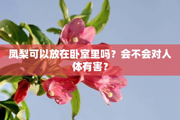 凤梨可以放在卧室里吗？会不会对人体有害？