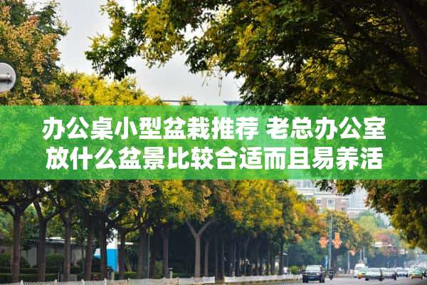 办公桌小型盆栽推荐 老总办公室放什么盆景比较合适而且易养活