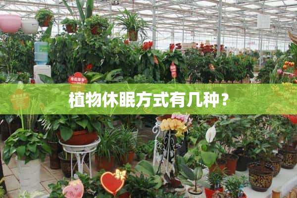 植物休眠方式有几种？