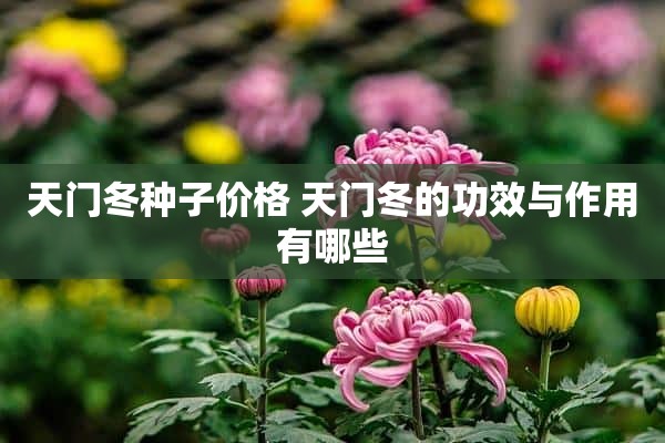 天门冬种子价格 天门冬的功效与作用有哪些