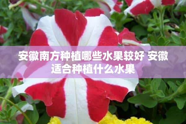 安徽南方种植哪些水果较好 安徽适合种植什么水果