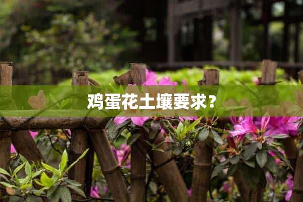 鸡蛋花土壤要求？