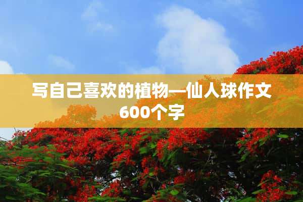 写自己喜欢的植物—仙人球作文600个字