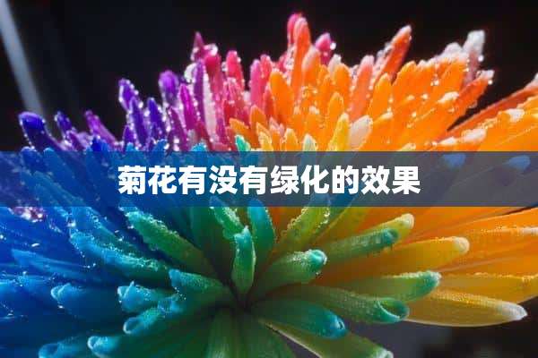 菊花有没有绿化的效果