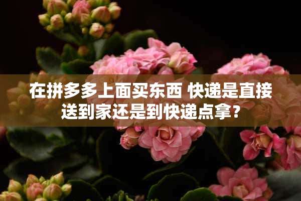 在拼多多上面买东西 快递是直接送到家还是到快递点拿？