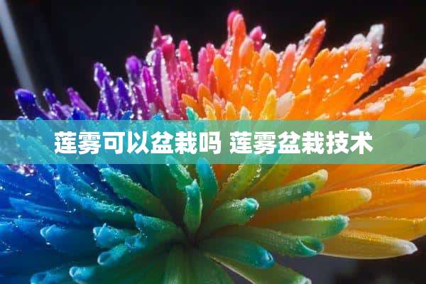 莲雾可以盆栽吗 莲雾盆栽技术