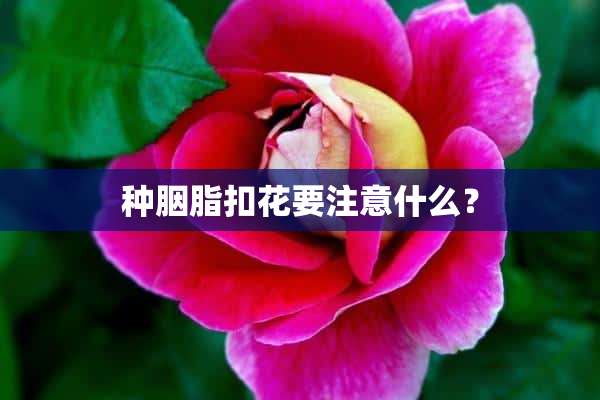 种胭脂扣花要注意什么？