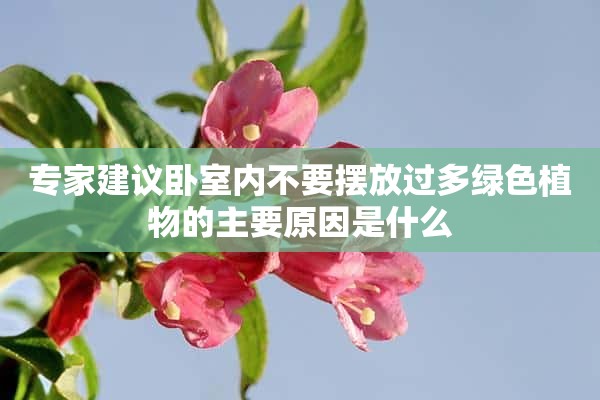 专家建议卧室内不要摆放过多绿色植物的主要原因是什么