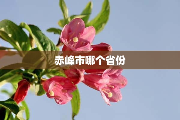 赤峰市哪个省份