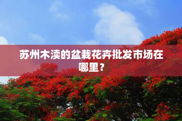 苏州木渎的盆栽花卉批发市场在哪里？