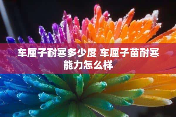 车厘子耐寒多少度 车厘子苗耐寒能力怎么样