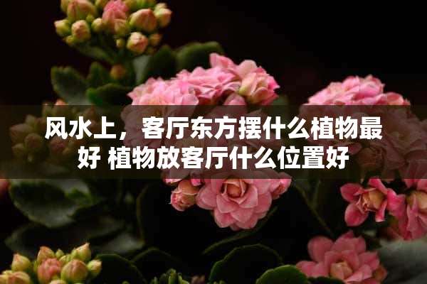 风水上，客厅东方摆什么植物最好 植物放客厅什么位置好