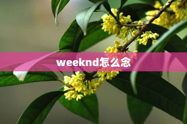 weeknd怎么念