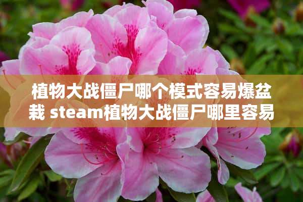 植物大战僵尸哪个模式容易爆盆栽 steam植物大战僵尸哪里容易出盆栽