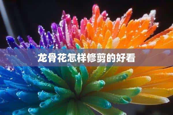 龙骨花怎样修剪的好看