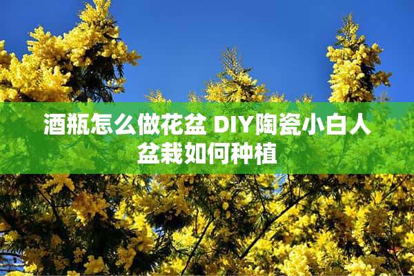 酒瓶怎么做花盆 DIY陶瓷小白人盆栽如何种植