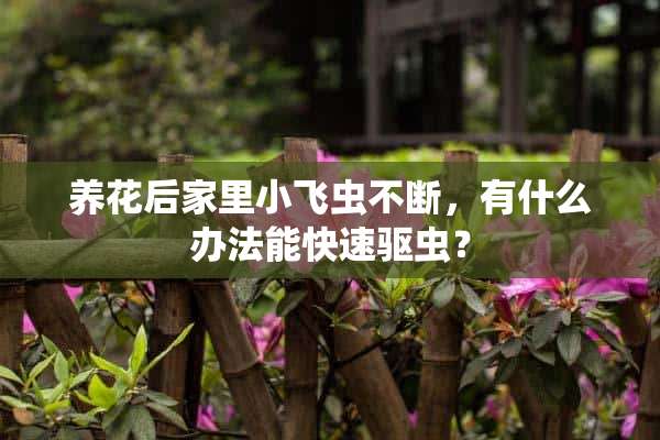 养花后家里小飞虫不断，有什么办法能快速驱虫？