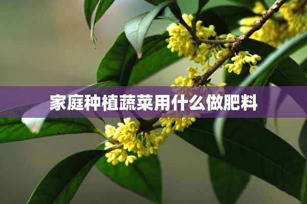 家庭种植蔬菜用什么做肥料