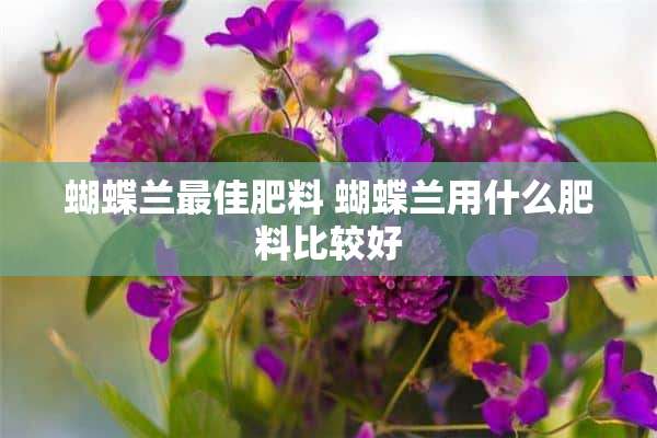 蝴蝶兰最佳肥料 蝴蝶兰用什么肥料比较好